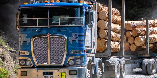 Wood transport & Logistics 2023