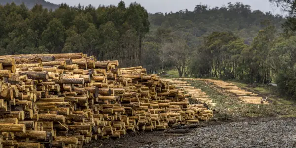 Market Access Project: Recommendations webinar