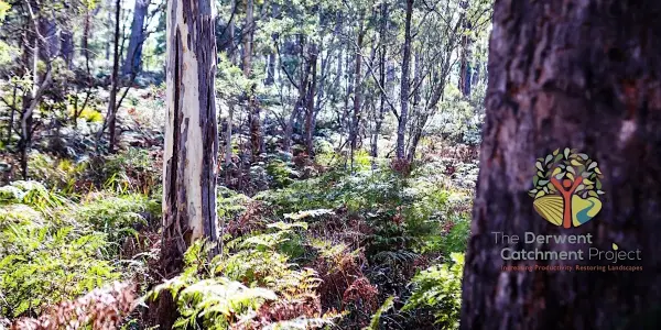 Webinar: Farming & emissions, carbon & biodiversity