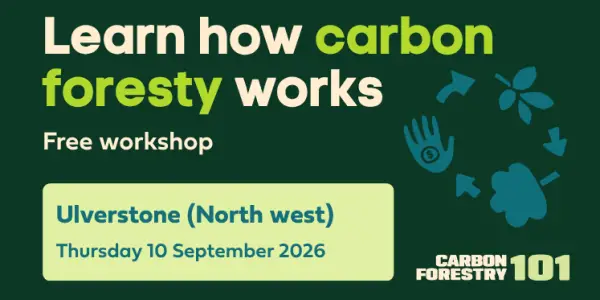 Carbon Forestry 101 - Ulverstone