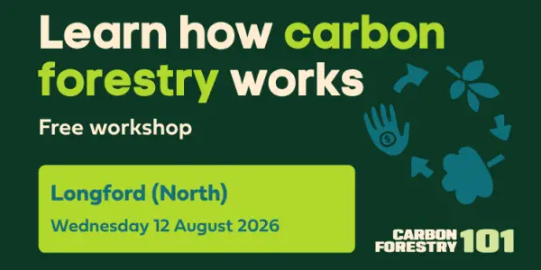 Carbon Forestry 101 - Longford