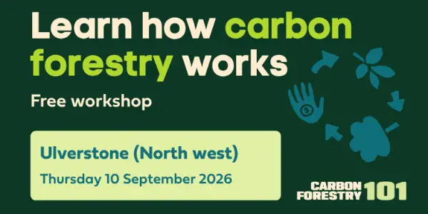 Carbon Forestry 101 - Ulverstone