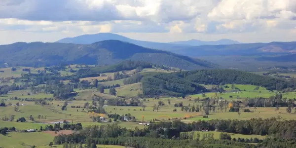 Field Day - Trees on Farms: Carbon, Environmental and Economic benefits