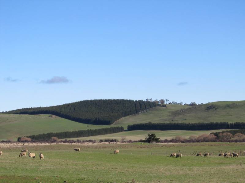 Private Forests Tasmania – Market Access Study workshops