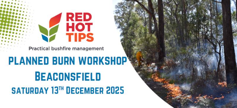 Planned Burn Workshop