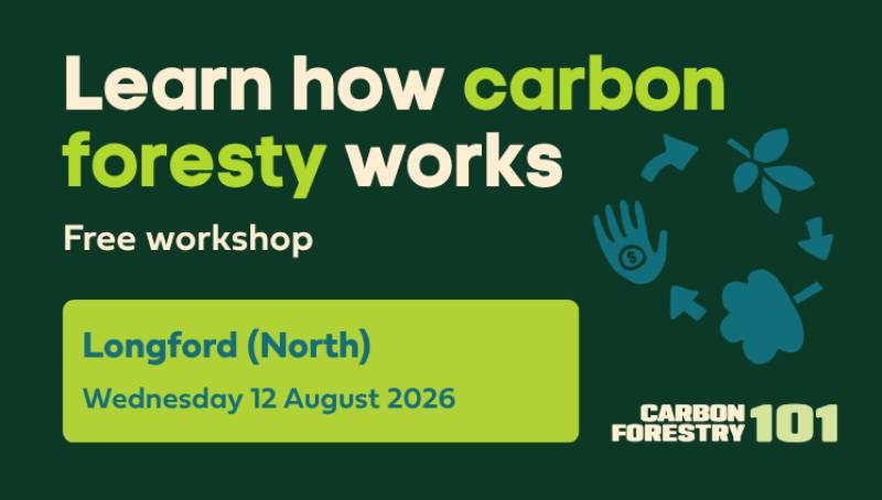 Carbon Forestry 101 - Longford