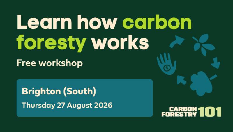 Carbon Forestry 101 - Brighton