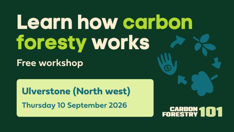 Carbon Forestry 101 - Ulverstone