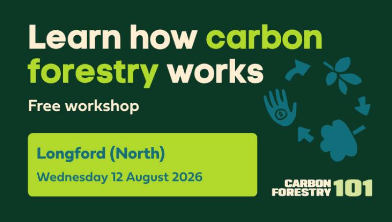 Carbon Forestry 101 - Longford