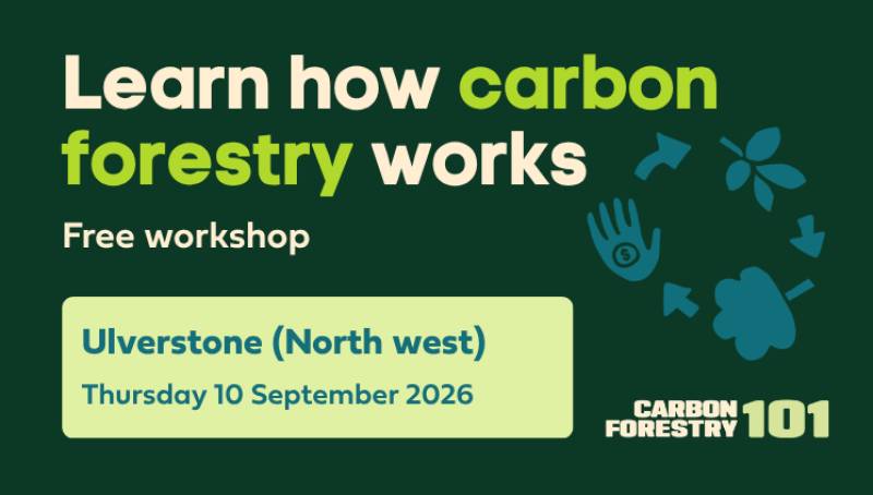 Carbon Forestry 101 - Ulverstone