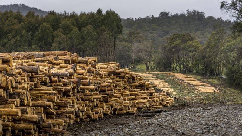 Market Access Project: Recommendations webinar